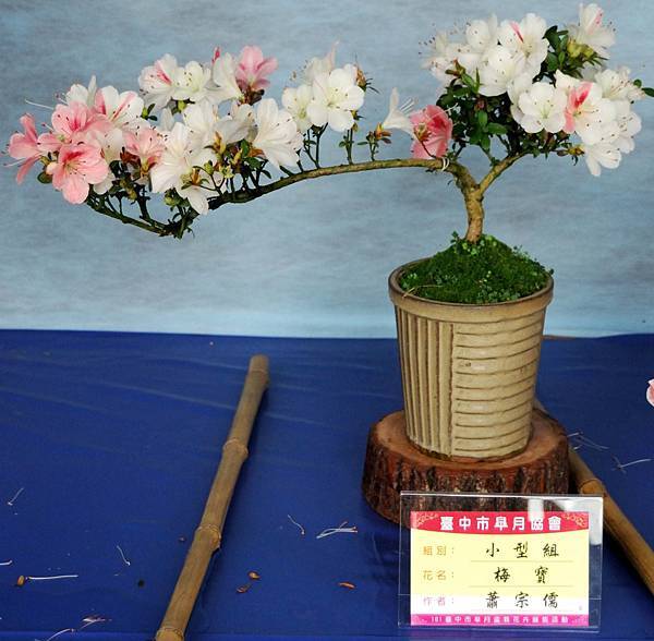 DSC_4570.jpg DSC_4570.jpg