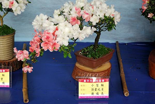 DSC_4571.jpg DSC_4571.jpg