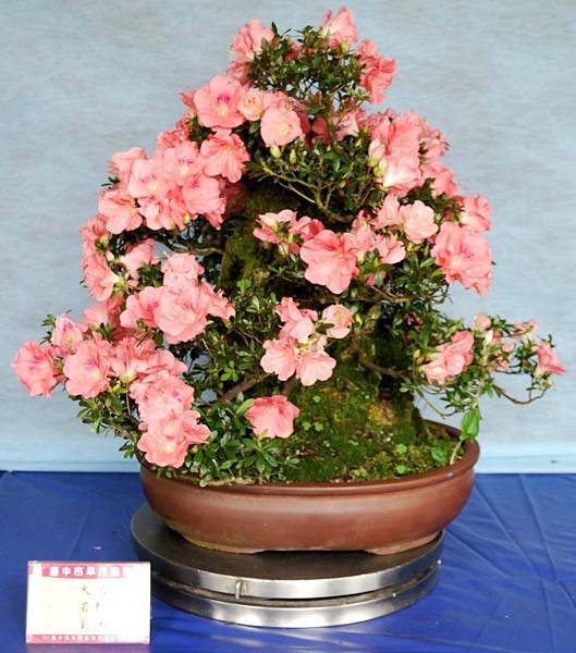 DSC_4573.jpg DSC_4573.jpg