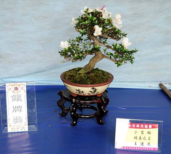 DSC_4576.jpg DSC_4576.jpg