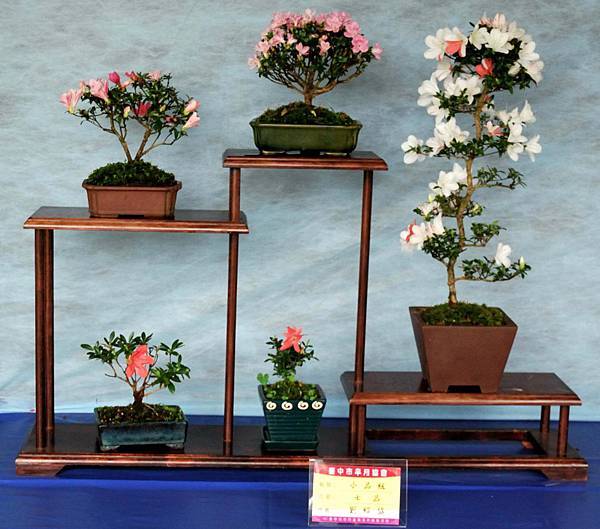 DSC_4578.jpg DSC_4578.jpg