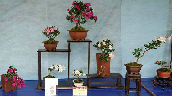 DSC_4579.jpg DSC_4579.jpg