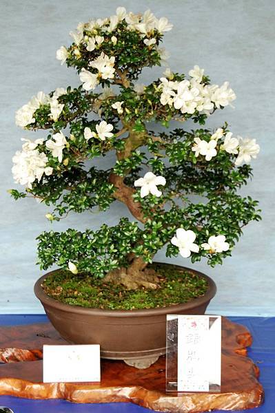 DSC_4577.jpg DSC_4577.jpg