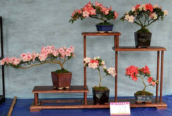 DSC_4581.jpg DSC_4581.jpg