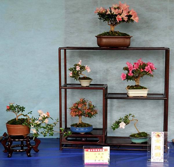 DSC_4580.jpg DSC_4580.jpg