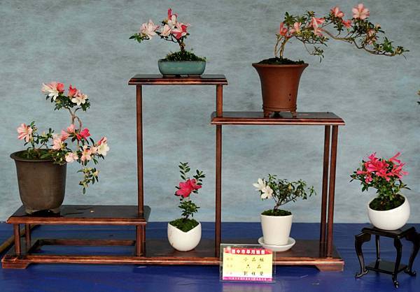 DSC_4583.jpg DSC_4583.jpg