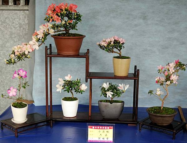 DSC_4582.jpg DSC_4582.jpg