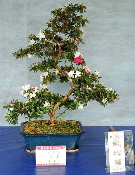 DSC_4585.jpg DSC_4585.jpg