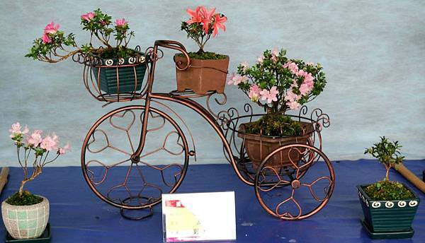 DSC_4586.jpg DSC_4586.jpg