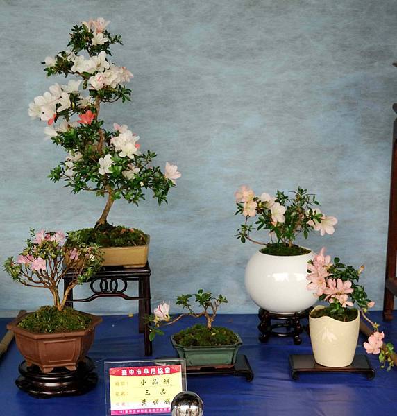 DSC_4588.jpg DSC_4588.jpg