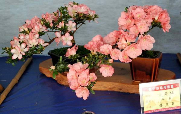 DSC_4592.jpg DSC_4592.jpg