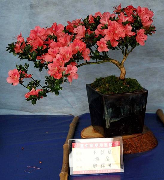 DSC_4597.jpg DSC_4597.jpg