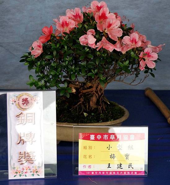 DSC_4607.jpg DSC_4607.jpg