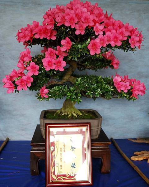 DSC_4612.jpg DSC_4612.jpg