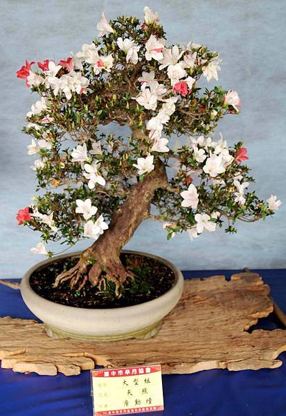 DSC_4613.jpg DSC_4613.jpg