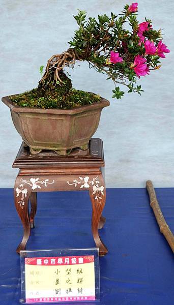 DSC_4617.jpg DSC_4617.jpg