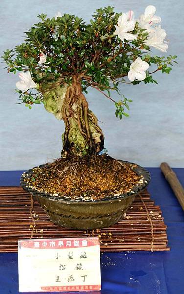 DSC_4618.jpg DSC_4618.jpg