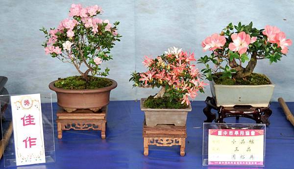 DSC_4620.jpg DSC_4620.jpg