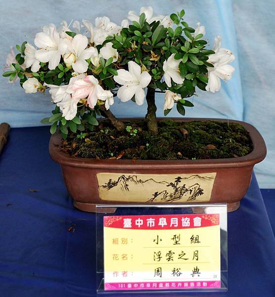 DSC_4623.jpg DSC_4623.jpg