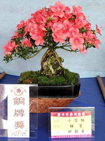 DSC_4622.jpg DSC_4622.jpg