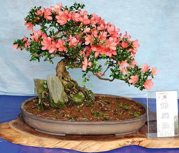 DSC_4624.jpg DSC_4624.jpg