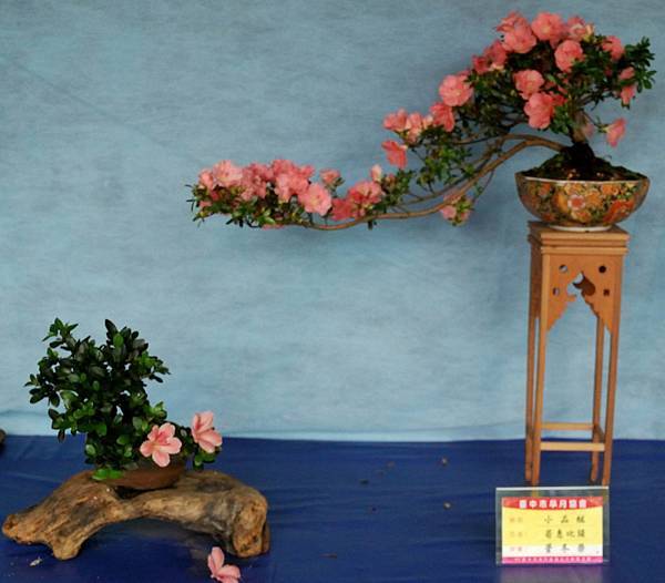 DSC_4626.jpg DSC_4626.jpg