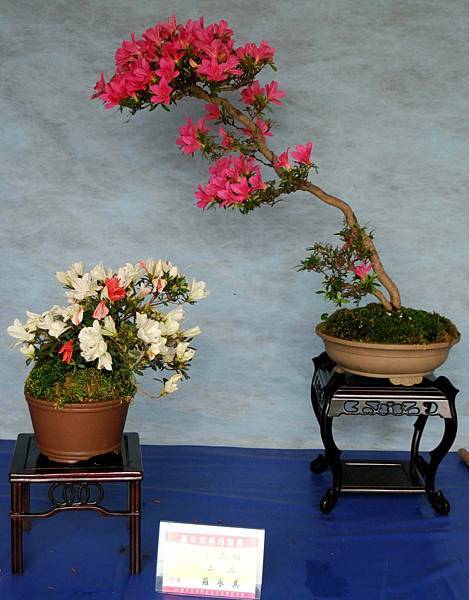 DSC_4628.jpg DSC_4628.jpg