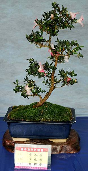 DSC_4630.jpg DSC_4630.jpg