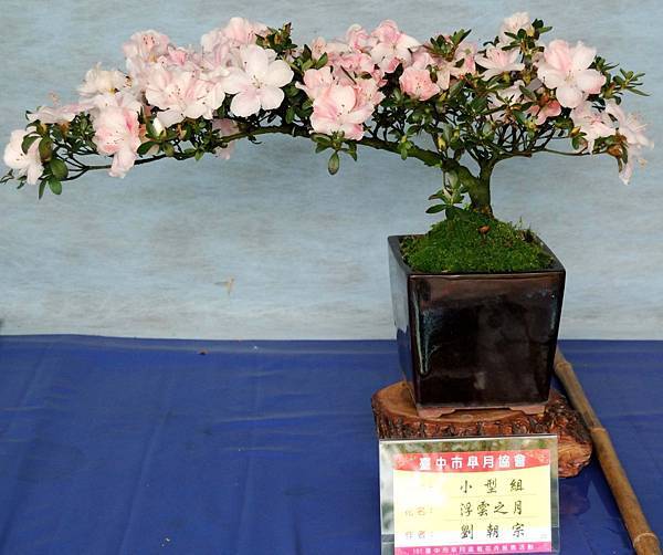 DSC_4632.jpg DSC_4632.jpg