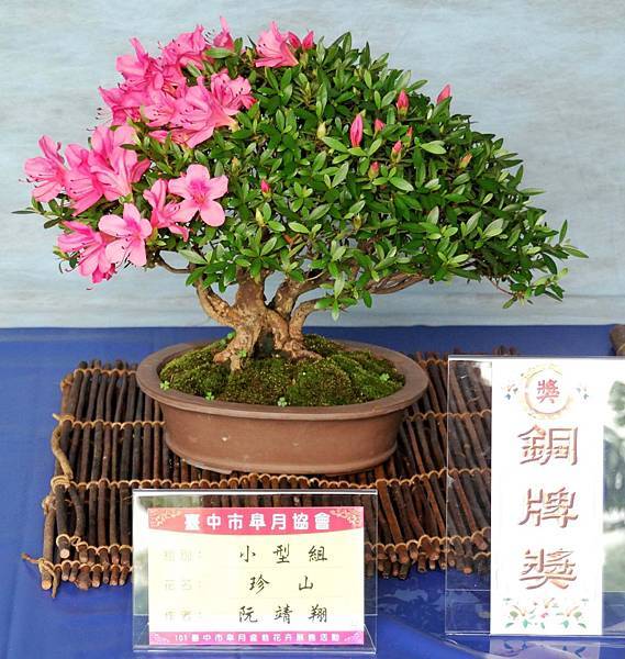 DSC_4633.jpg DSC_4633.jpg