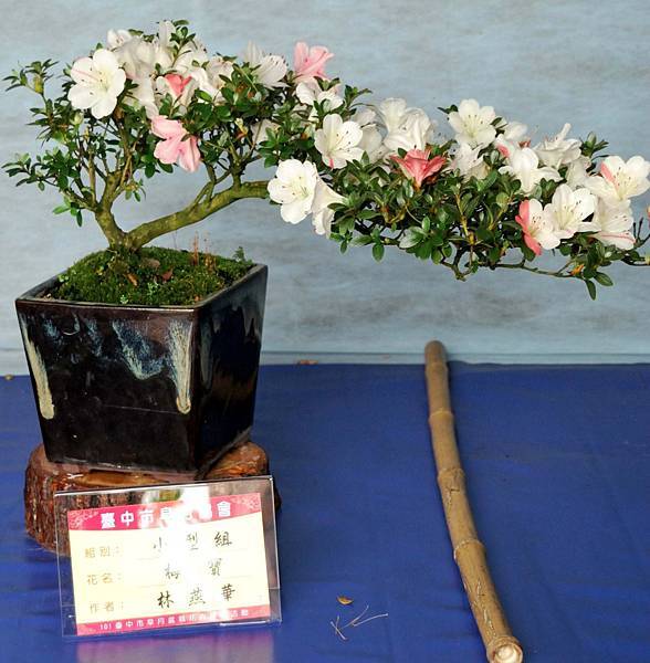 DSC_4634.jpg DSC_4634.jpg