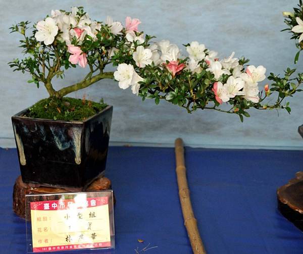 DSC_4635.jpg DSC_4635.jpg