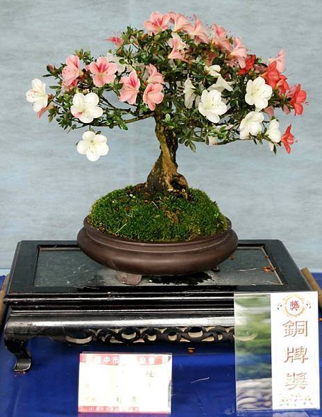 DSC_4638.jpg DSC_4638.jpg