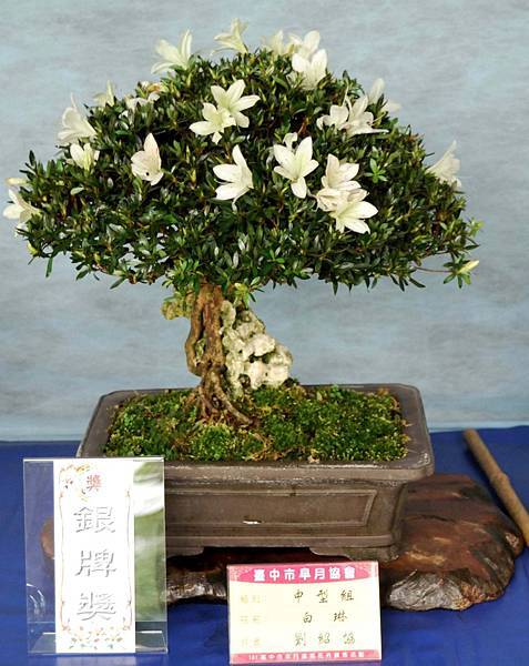 DSC_4636.jpg DSC_4636.jpg