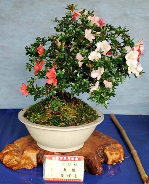 DSC_4644.jpg DSC_4644.jpg