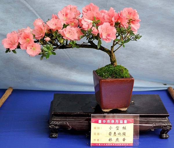 DSC_4650.jpg DSC_4650.jpg