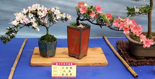 DSC_4652.jpg DSC_4652.jpg