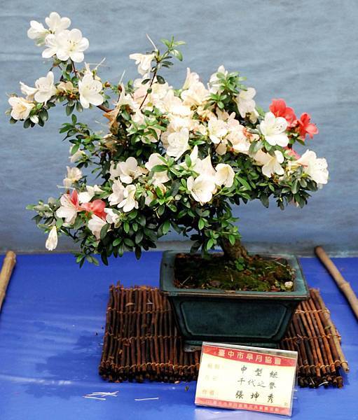 DSC_4656.jpg DSC_4656.jpg