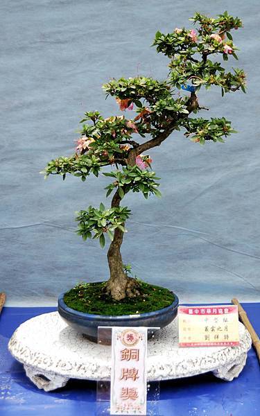 DSC_4658.jpg DSC_4658.jpg