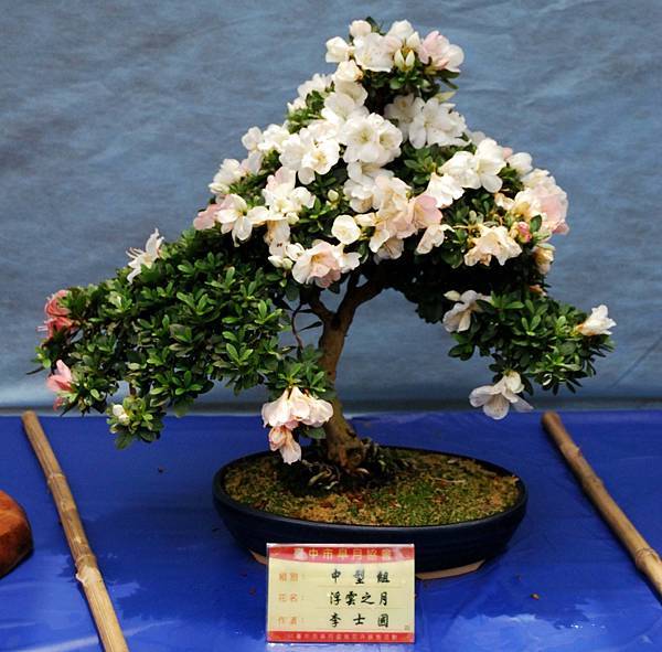 DSC_4660.jpg DSC_4660.jpg