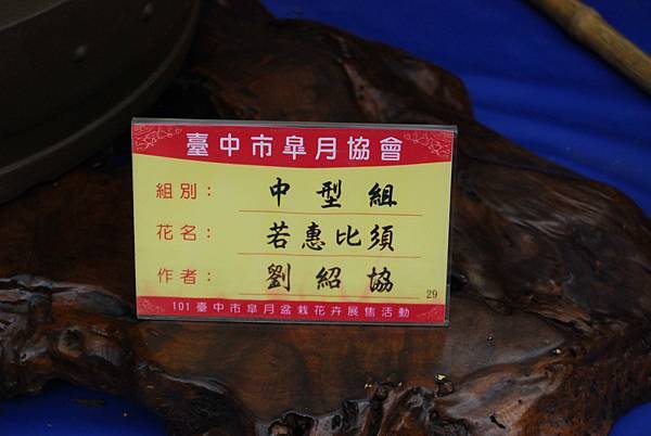 DSC_4669.jpg DSC_4669.jpg