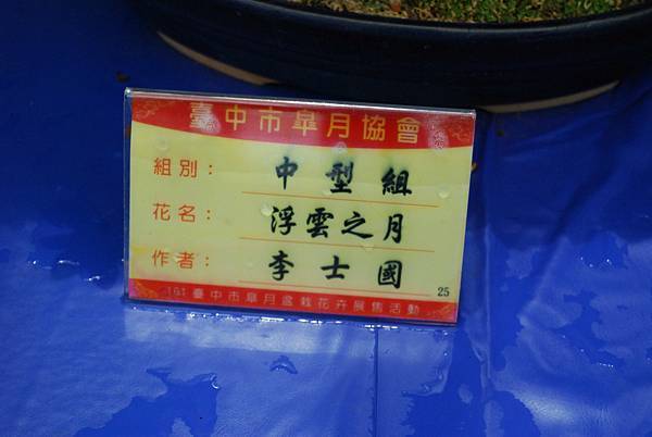 DSC_4671.jpg DSC_4671.jpg