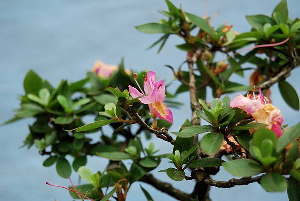 DSC_4674.jpg DSC_4674.jpg