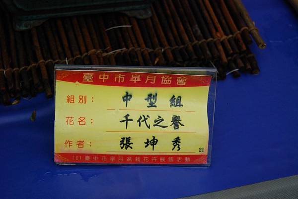 DSC_4675.jpg DSC_4675.jpg