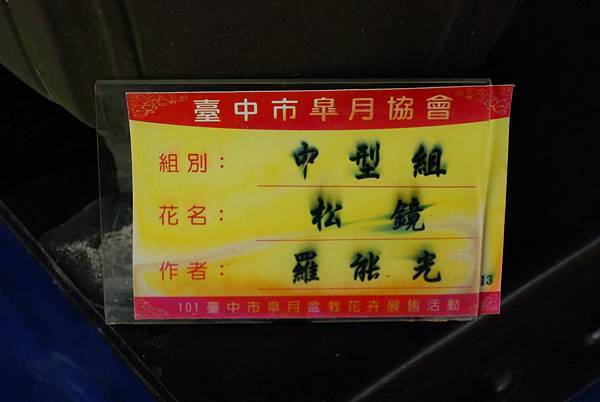 DSC_4677.jpg DSC_4677.jpg