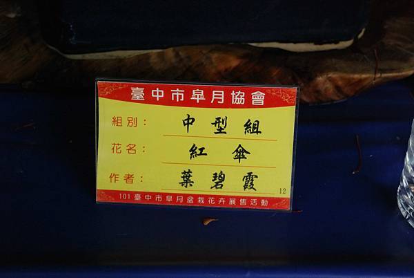 DSC_4679.jpg DSC_4679.jpg