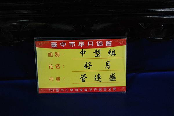 DSC_4681.jpg DSC_4681.jpg