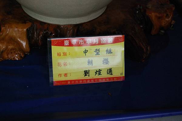 DSC_4683.jpg DSC_4683.jpg