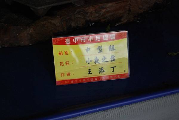 DSC_4685.jpg DSC_4685.jpg