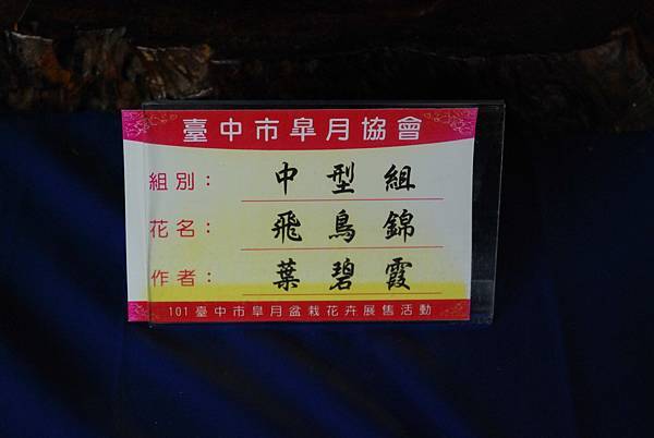 DSC_4688.jpg DSC_4688.jpg